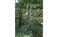 3628 Indian Trail Crossing, Hersey, MI 49639