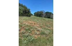 W25058 Apache Tears/White Dove, Horseshoe Bay, TX 78657