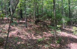 STONEY POINT lot: 83, Double Springs, AL 35553
