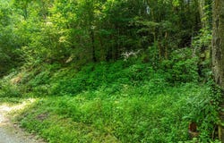 174 Old Ivey Hollow Road, LaFollette, TN 37766