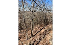 County Road 1750, Coalgate, OK 74538