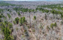 CR 200, Pittsboro, MS 38951