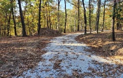 161 Steeple Point Drive, Defiance, MO 63341