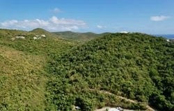 60 Grange Stock Est CO, St. Croix, VI 00820
