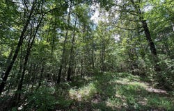 2 Rockport Rd, Lexington, MS 39095