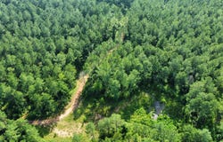 1971 CR 266, Lanett, AL 36863