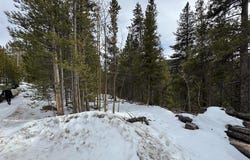 649 VISTA ROAD, Idaho Springs, CO 80452