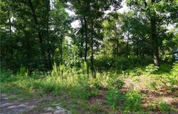 Lakeview Drive lot: 8, Red Springs, NC 28377