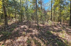 Rolling Hills Block 11 Lot 22, Theodosia, MO 65761