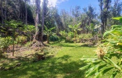 MOLOKAI ST, Pahoa, HI 96778