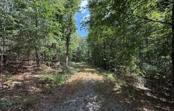 1276 Winns Lake, Comer, GA 30629