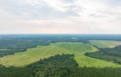 0 County Road 90, Lumpkin, GA 31815