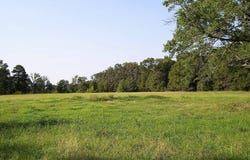 1531 RANKIN ST, Ashdown, AR 71822
