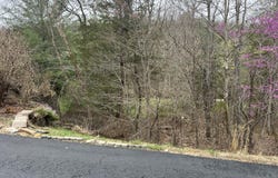 000 Appaloosa Trail, Saddlebrooke, MO 65630