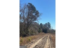 Starfish Lane, Lyons, GA 30436