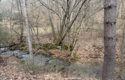 Kanawha Run Rd, Sutton, WV 26601