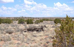 Lot 020e E 24th North Street, Snowflake, AZ 85937