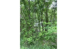 Lot 812 Kaukonahua LN, Bastrop, TX 78602
