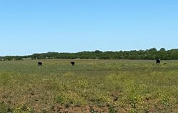 Tbd County Road 250 Road, Gouldbusk, TX 76845