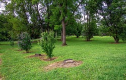 86 East Wyrick Street, Corbin, KY 40701