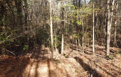TBD Antioch Cemetery Rd, Provencal, LA 71468
