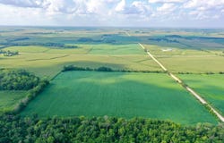 TBD 337th Ave, Spillville, IA 52168