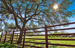 4552 Mineral Cemetery, Beeville, TX 78102