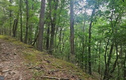 TIGER VALLEY Road, HYNDMAN, PA 15545