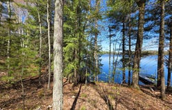 ON SHADY SHORE RD E, Tomahawk, WI 54487