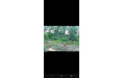 0 Markland Pike, Vevay, IN 47043