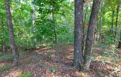 Alexander Road, New Concord, KY 42076