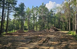 6 Chester Road, Perryville, AR 72126