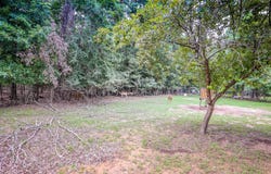 2188 HARKINS LN, Marshall, TX 75672