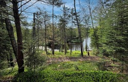 11208 RED DOG TRAIL, GRAYLING, MI 49738
