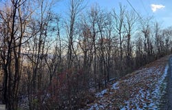 ARRAN LN, HEDGESVILLE, WV 25427