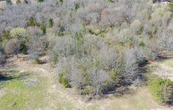 937 CR 1135, Mount Pleasant, TX 75455