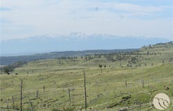 Lot 31 Skunkbelly Lane, Reed Point, MT 59069