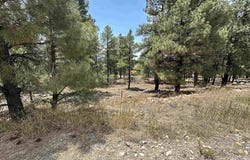 96 Woodridge Circle, Pagosa Springs, CO 81147