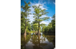 Prairie Lake Rd, Wickliffe, KY 42087