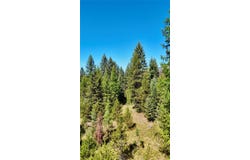 Nhn Sapphire Lane E lot: 4, Trout Creek, MT 59874