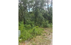 1650 SE 178TH LANE, SUMMERFIELD, FL 34491