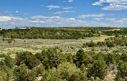 28631 Road T.5, Dolores, CO 81323