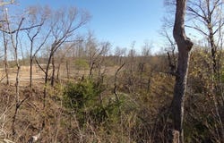 000 Freemont, Pineville, MO 64856