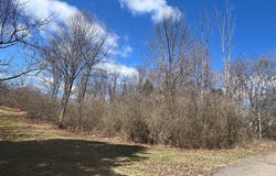 0 CHESTNUT STREET, BARNESVILLE, PA 18214