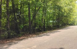 Lot 180 BUCKSKIN TR, Minocqua, WI 54548