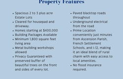 Lot 2 Honey Grove, Livingston, LA 70754