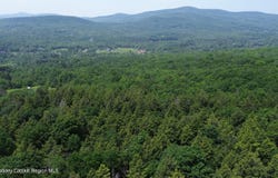 0 Off Larsen Dr, Windham, NY 12496