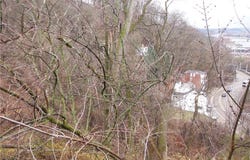 3,9,15,18 Roanoke St, South Side, PA 15203