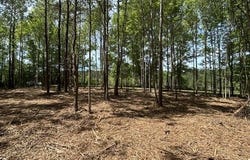 Parcel 4 Stovall Ln, Summit, MS 39666