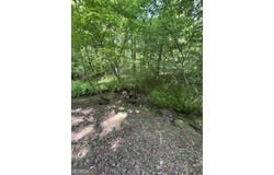149 Happy Hollow, Mineral Bluff, GA 30559